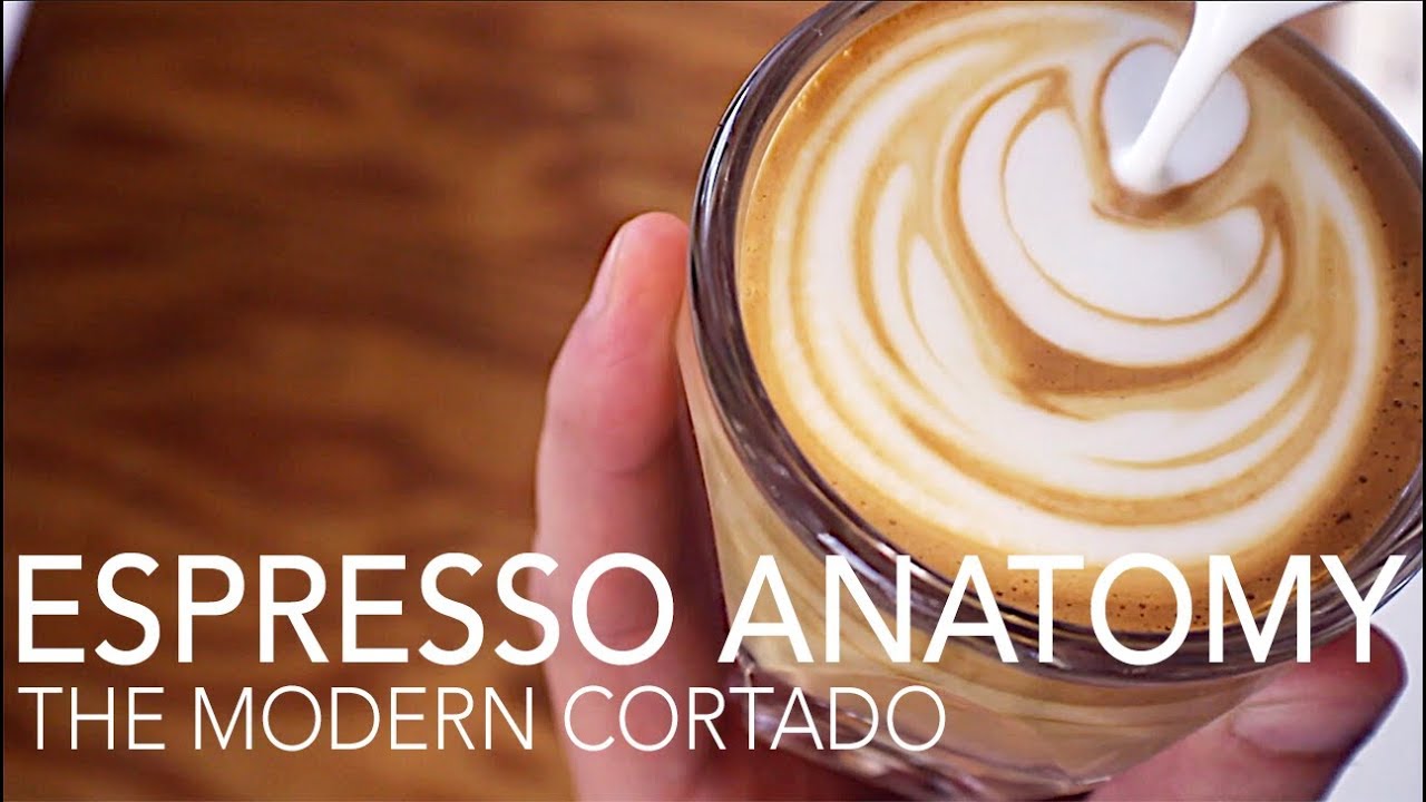 ESPRESSO ANATOMY – The Modern Cortado