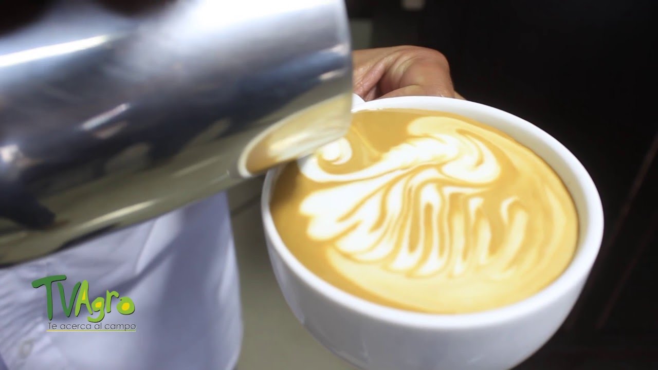 Cómo hacer café latte- TvAgro por Juan Gonzalo Angel