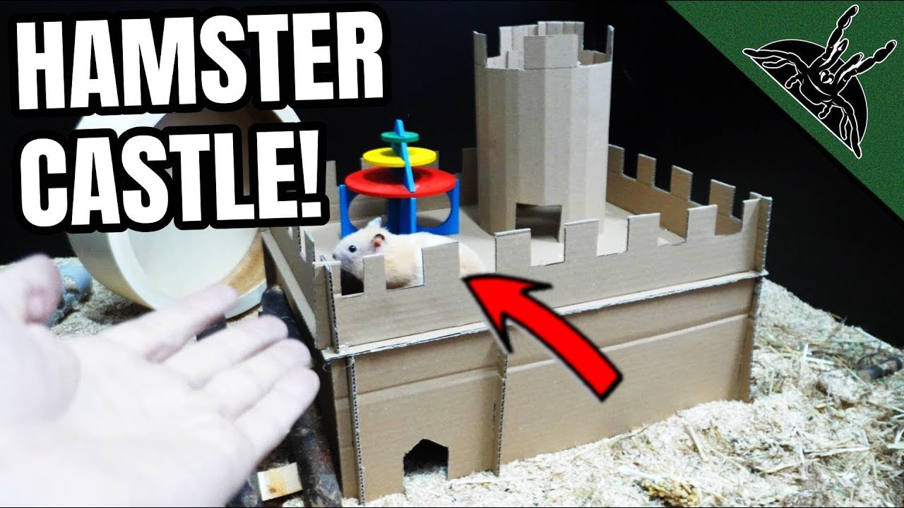 I made a CASTLE for CAPPUCCINO!