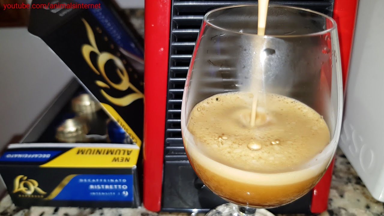 L'or Ristretto Decaffeinato coffee capsules on a Nespresso Delonghi Essenza Mini …
