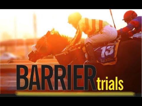 20190227 Scottsville Barrier trial 10 won by DOUBLE ESPRESSO