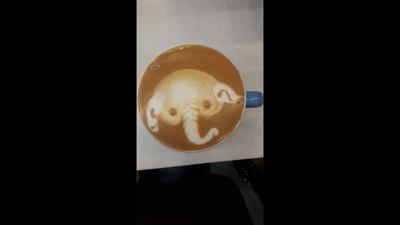 How to make Elephant/Flat white/Latte art