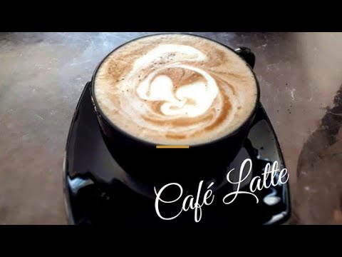 CAFÉ LATTE CAFETERA BREVILLE BES870XL