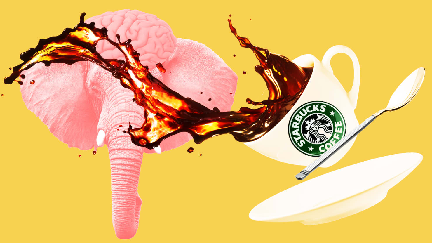 Why Does Starbucks Melt Conservative Brains?