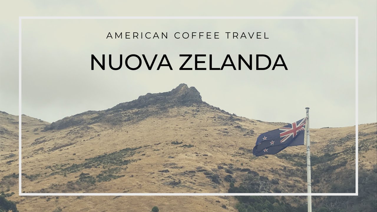 Nuova Zelanda 🇳🇿  – Viaggiare senza soldi