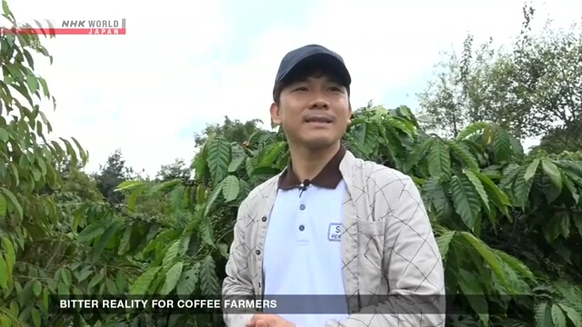 Vietnam: Bitter Reality for Coffee Farmers | NHK WORLD-JAPAN News – NHK WORLD