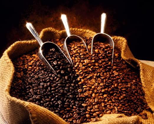 Boston based coffee sellers curb addiction in Yemen – The Suffolk Journal