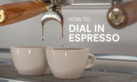 How to Dial In Espresso | Basic Coffee Skills
