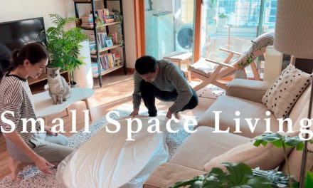 Small Space Living | Haircut  Fashion, Book Recommendations Ready for Canada? |…