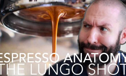 ESPRESSO ANATOMY – The Lungo Shot