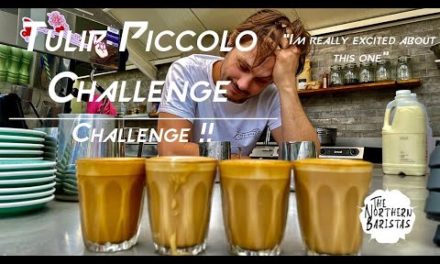 The Piccolo Stack Attack Tulip Challenge