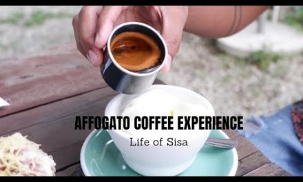 AFFOGATO COFFEE EXPERIENCE || LIFE OF SISA