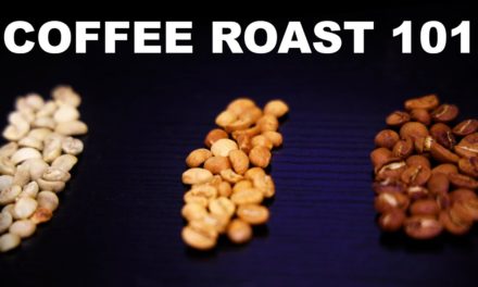 Light roasts vs. dark roasts | Coffee basics and science explained