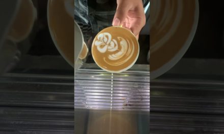 Flat white coffee latte art #barista #art #bali