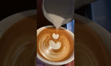 Cafe latte 🌷 #tulip #wingtulip #latteart