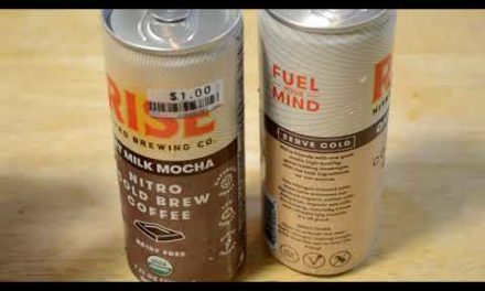 Rise Nitro Brewing Co Oat Milk Mocha And Latte Coffee Review