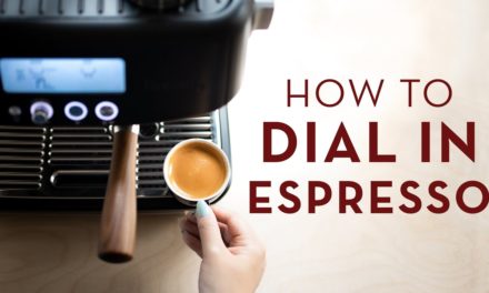 How to Pull an Espresso Shot: Everything A Beginner Needs to Know