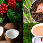 Hand Made Coconut Milk Coffee | Coffee Recipes |  How to make coffee | Keto Diet