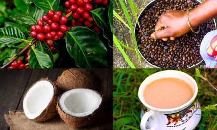 Hand Made Coconut Milk Coffee | Coffee Recipes |  How to make coffee | Keto Diet