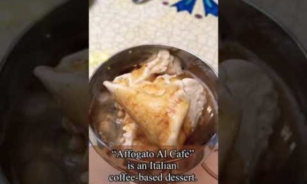 Italian coffee-based dessert "affogato al caffe" | VANILLA GELATO + HOT ESP…