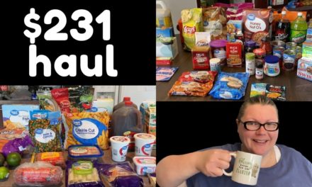Walmart Grocery Haul with Meal Plan + Chit Chat – Vlogmas Day 5