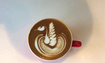 Cafe latte art basic swan art