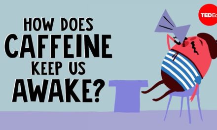 How does caffeine keep us awake? – Hanan Qasim