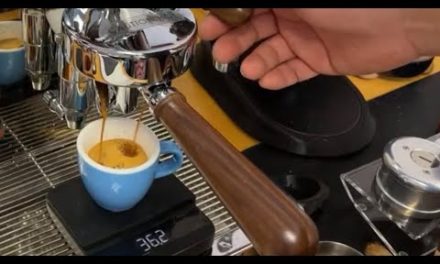 Layered Espresso Shot with Lelit Bianca Espresso Machine