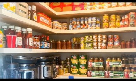 Pantry and Freezer  Challenge | Week 1 | Food Storage | Using What We Have