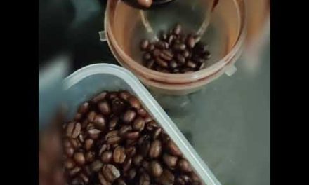 how to make affogato coffee V.ตามมีตามเกิด