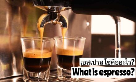 Palm666 – เอสเปรสโซ่คืออะไร – What is espresso?