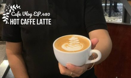 Cafe Vlog EP.480 | Hot Caffe Latte | Regular Size | Barista Vlog