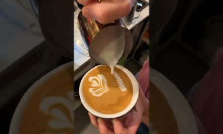 Latte Art Barista tutorial 101 #EP (336)
