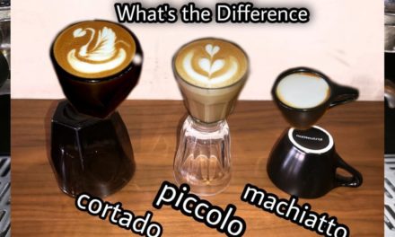 Piccolo, Machiatto & Cortado Difference explained