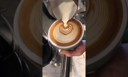 Latte Art Barista tutorial 101 #EP (428)