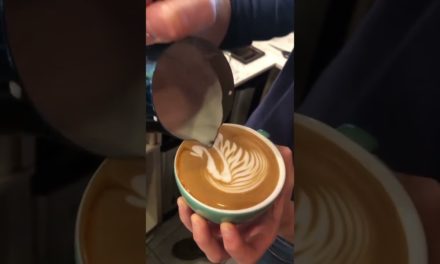 Latte Art Barista tutorial 101 #EP (343)