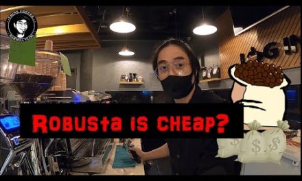 Coffee Vlog #51 Why Arabica is more expensive than robusta? +piccolo latte.