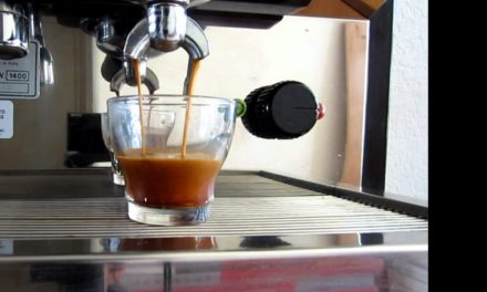 Brasilia Cappuccino DEL-1 Espresso Machine Double-Shot
