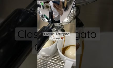 Classic Affogato Coffee ! 🤎