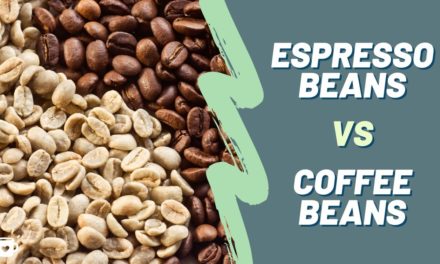 Espresso Beans VS. Coffee Beans | What's the Difference?