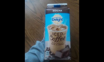International Delight Mocha Iced Coffee Review