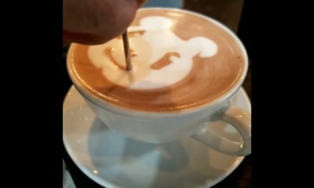 make latte art bear style