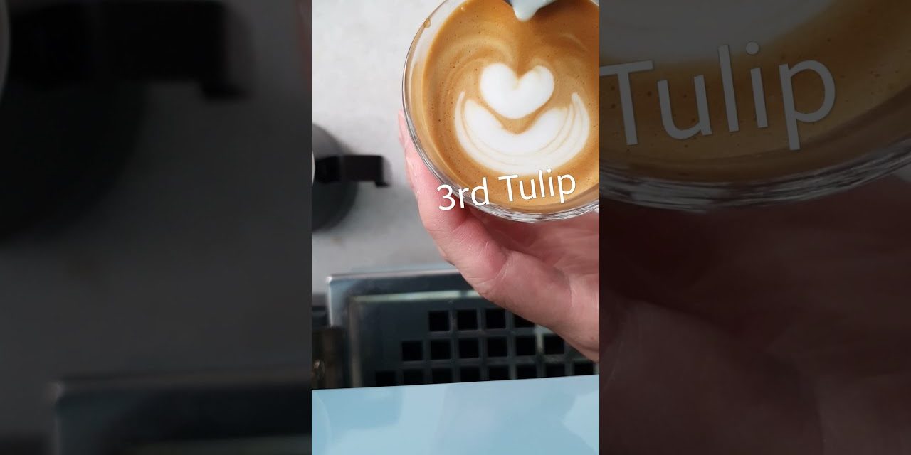 Piccolo Latte Art – Beginner pouring
