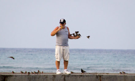 Bird Guy with morning coffee – Kuhio Beach Park