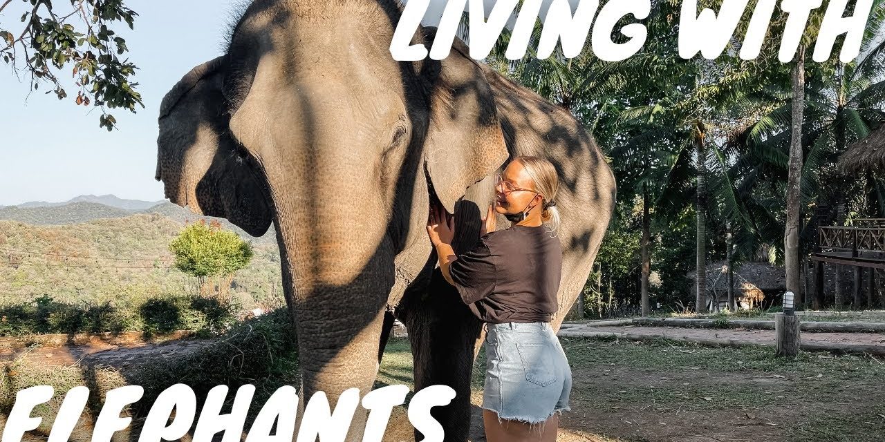I Spent 24 Hours in an ELEPHANT SANCTUARY In Thailand (amazing experience) 🇹🇭