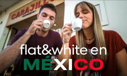 COFFEE TOUR en CHIAPAS, MÉXICO ☕💥
