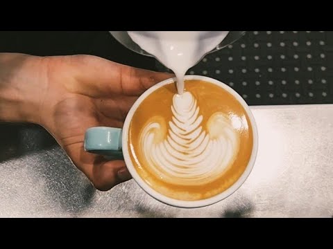 Daily latte art #123 Crisp Rosetta #ytshorts #shorts #short #coffee #espresso #barist…