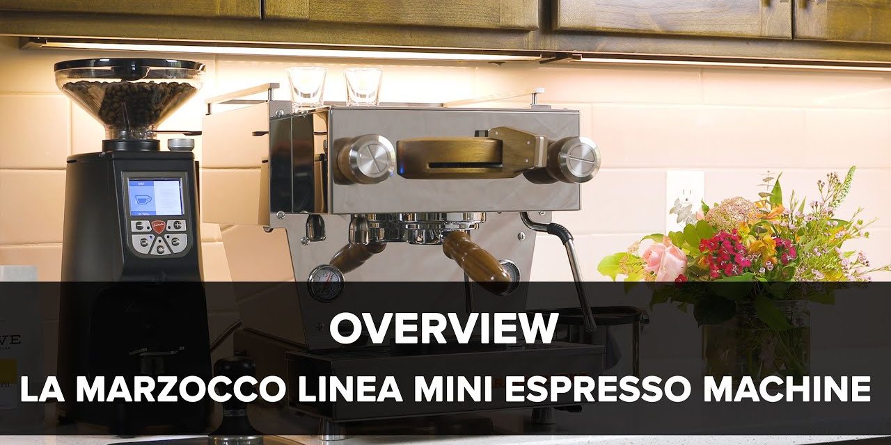 La Marzocco Linea Mini Espresso Machine Overview