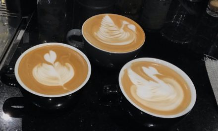Cafe Vlogs ! Swan Latte ART ! Barista Faysal #coffee #faysalcoffeeart #barista #youtu…