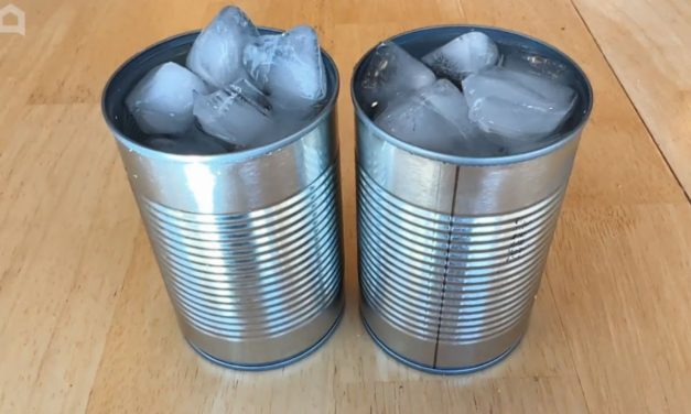 Everyone will be freezing empty cans after this seeing this outdoor lighting hack! | …